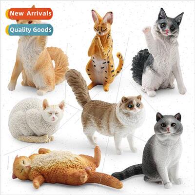 Solid static pet cat model praying cat sleeping cat shorthai