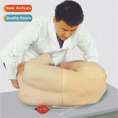 mbar puncture comprehensive training model lumbar puncture t