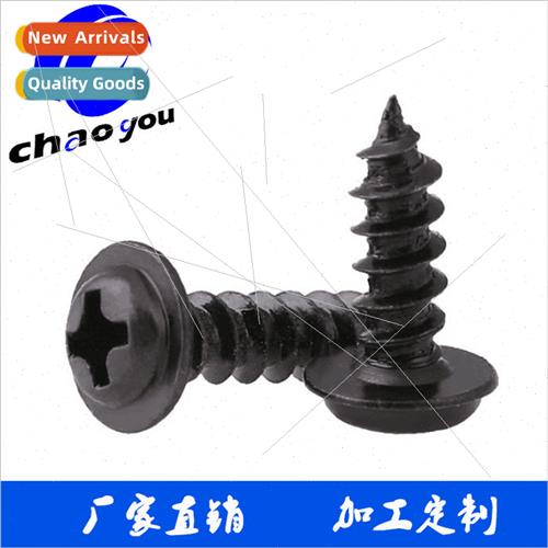 Black Motorcycle/automobile self-tapping screws wh meshes PW