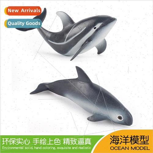 Gulf Calinia porpoise Pacific spotted dolphin model children