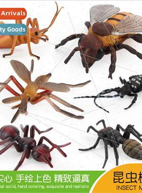 Children insect model mosquoes bees crickets ants PVC static