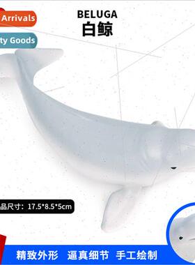 Early education teaching aids simulation solid beluga whale