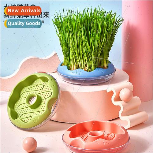 Donut hydroponic cat grass cup potting wheat seeds soil-less