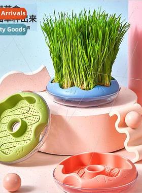 Donut hydroponic cat grass cup potting wheat seeds soil-less