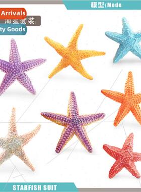 Model Echinoderms Pentagram Starfish Underwater World Decora