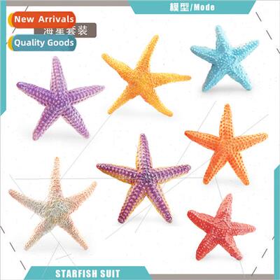 Model Echinoderms Pentagram Starfish Underwater World Decora
