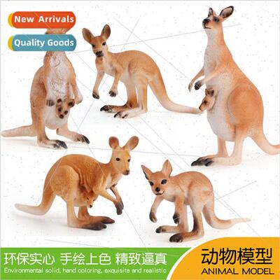 Australian kangaroo model wildlife static female kangaroo so