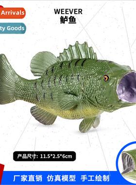 Children life animal solid largemouth bass flower bass fresh