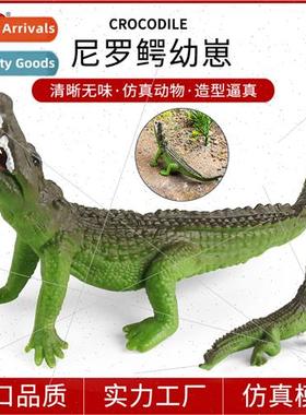 Cognive solid crocodile model le crocodile cubs emperor croc