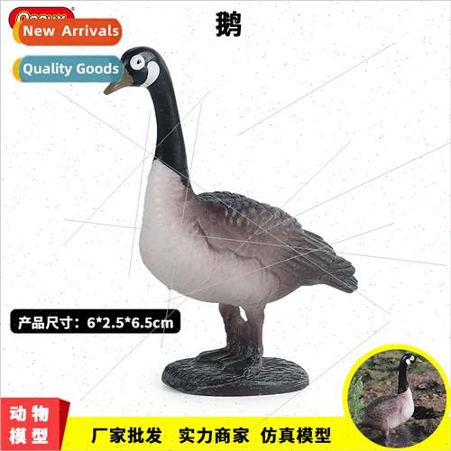 Whe Swan Animal Model Farm Poultry Pasture Goose Solid Plast
