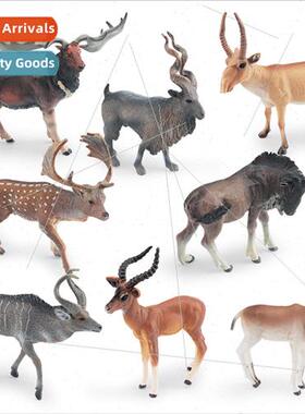 Wildlife horned horse antelope mountain serval antelope twis