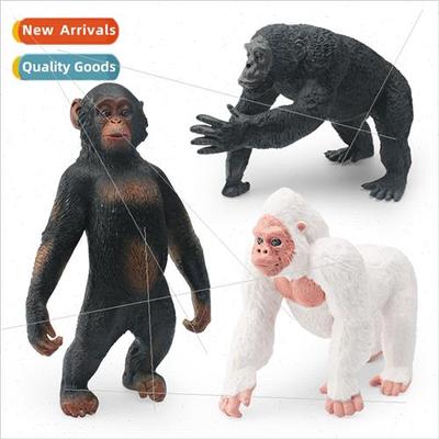 Wildlife orangutan model children science education cognive