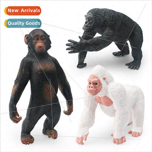 Wildlife orangutan model children science education cognive