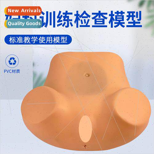 Advanced gynecological internal diagnosis training model wom