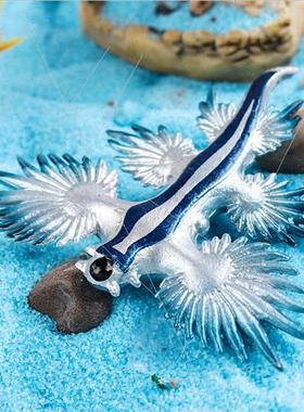 Cognive solid marine life Atlantic blue dragon mini sea slug