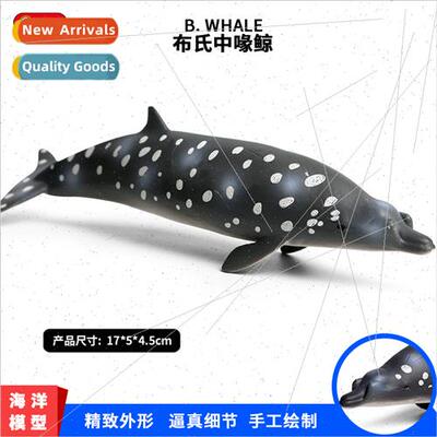 model toys whale shark Bryde medium beaked whale undersea cr