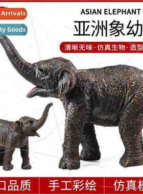 mulation static solid wildlife Asian elephant cubs elephant