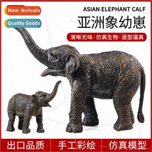 mulation static solid wildlife Asian elephant cubs elephant