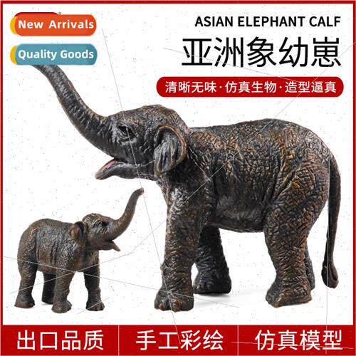 mulation static solid wildlife Asian elephant cubs elephant