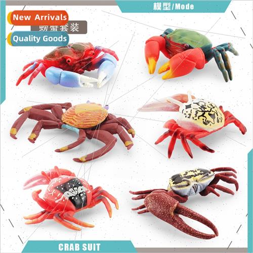 Marine life crab model fiddler crab rumbler crab open mouth