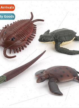 model sea turtle trilobe hornworm static undersea creature o