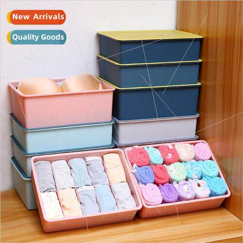 Color clashing underwear panty organizer home compartment co