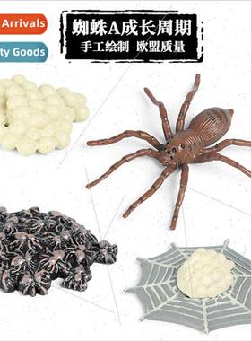 Animal model spider rooster praying mantis grasshopper bee b