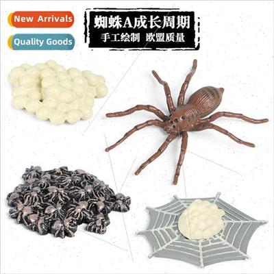 Animal model spider rooster praying mantis grasshopper bee b