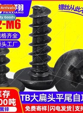 304 black large flat head self-tapping flat-tailed screws bl