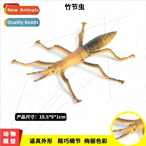 simulation animal insect model plastic toys ornaments static