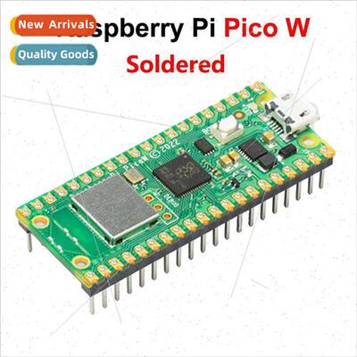 RASPBERRY PI PICO PICO W Raspberry Pi PICO development board