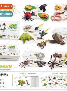 Earthworms snails spiders mosquoes ladybugs frogs model anim