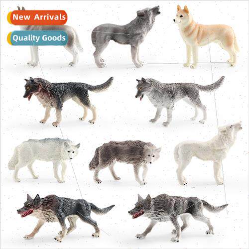 Wildlife wolf model whe wolf gray wolf husky female wolf cro