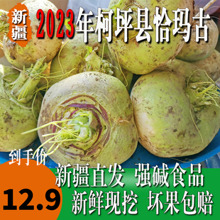 恰玛古新疆柯坪县新鲜蔬菜恰玛古强碱性食品调节酸碱平衡5斤包邮