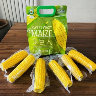 玉巨人有机玉米乌兰布和沙漠内蒙巴彦淖尔隆福沃原早餐苞米1.5kg