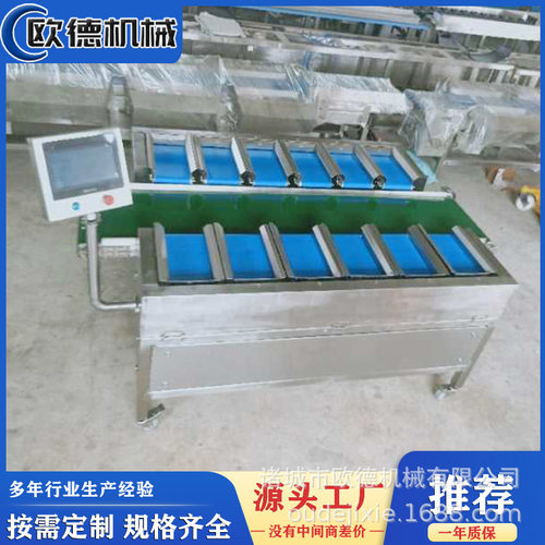 辣椒西红柿称重组合设备 红薯自动配重机 熟食分拣定量配重机器