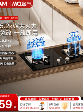 老板燃气灶名气煤气灶家用双灶猛火灶天然气灶台液化气灶A6110B