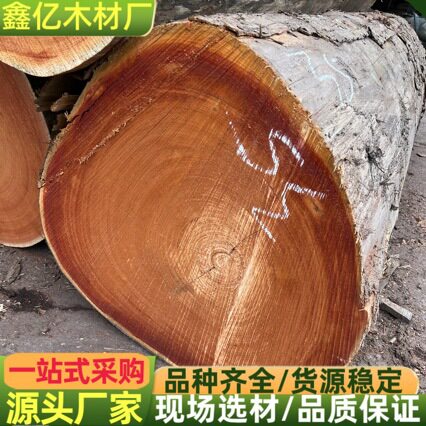 现货 红椿防腐木 红椿木原木板材 加工家具工程柱子料一手货源