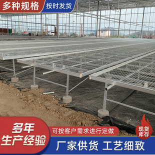 移动苗床网镀锌网片移动育苗种植花卉可调节底座大棚苗床厂家供应