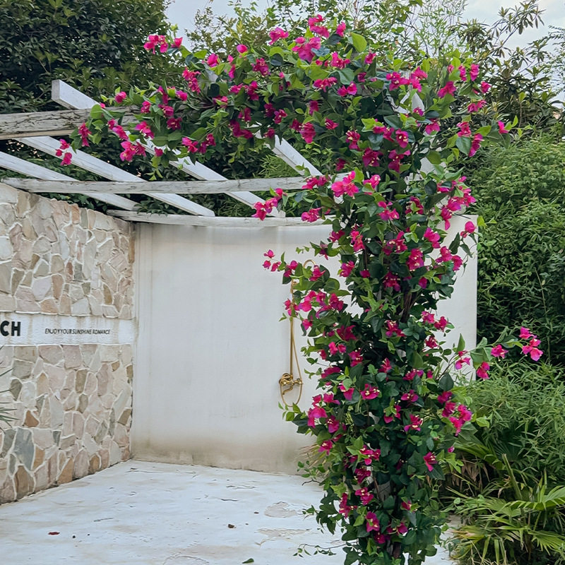 现货仿真花三角梅网红花墙藤蔓假花空调水管包装饰摆件插花人造花