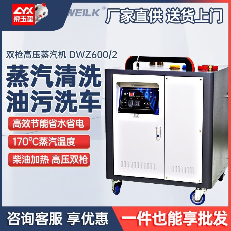 德威莱克DWZ600/2高压蒸汽清洗机工业去油污高温蒸汽清洗机-封面