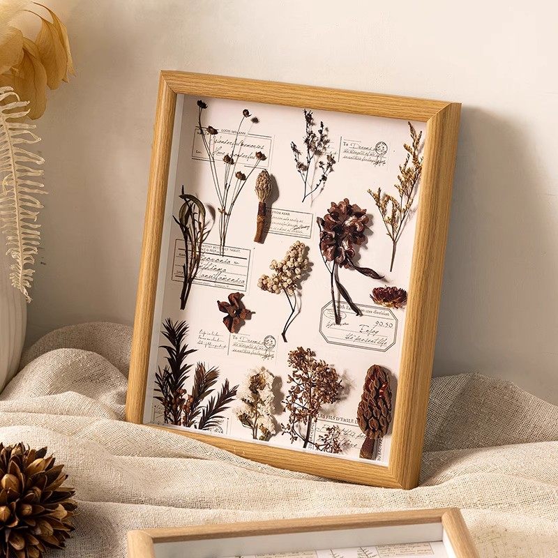 中空相框立体植物标本框果实diy手工干花蝴蝶昆虫定制摆台衍纸画,家居饰品,相框/画框,淘宝优惠券,粉丝福利购,淘宝优惠卷