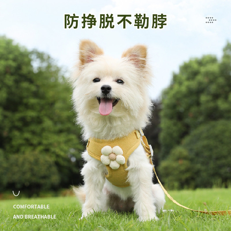 小狗狗牵引绳背心小型幼
