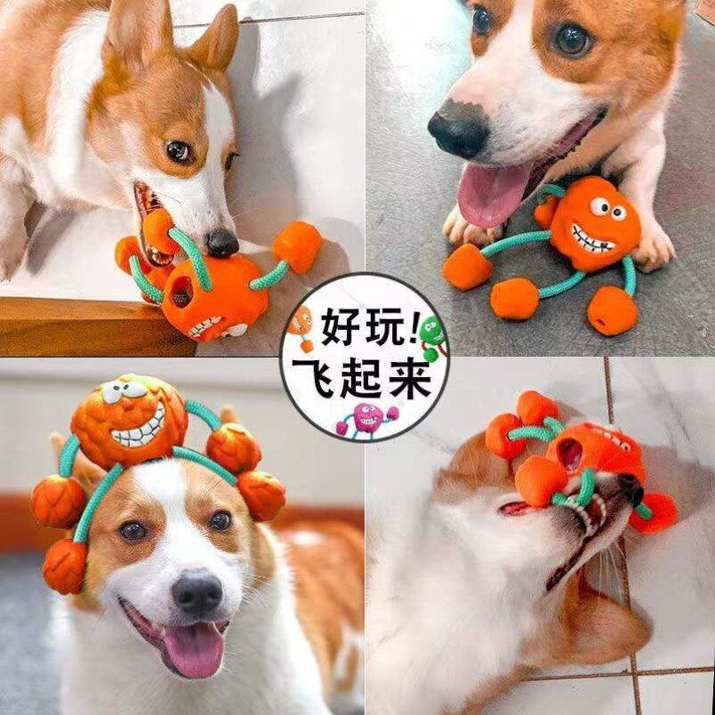 狗狗玩具耐咬球磨牙发声橡胶逗宠物小狗泰迪边牧狗球幼犬解闷器