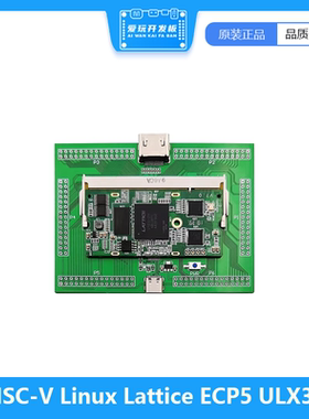 FPGA开发板开源RISC-V Linux Lattice ECP5 ULX3S