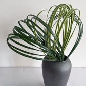 插花配材软胶扁线条钢草造型草婚庆花艺软装 设计绿铁丝仿真花蒲草