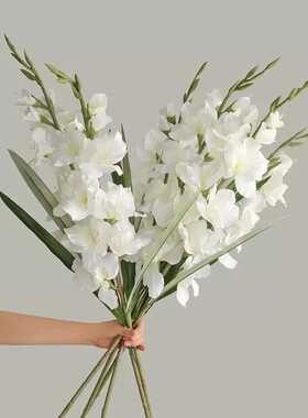 剑兰花仿真花装饰摆件花卉婚庆