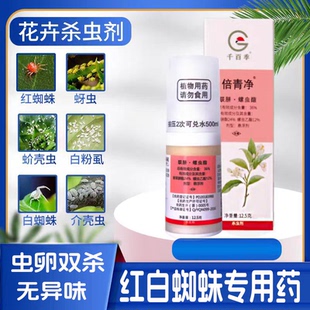 千百季倍青净红蜘蛛专用杀虫剂花卉月季花病虫害蚜虫蚧壳虫常用药