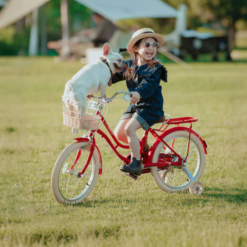 纽斯加复古田园风女童自行车