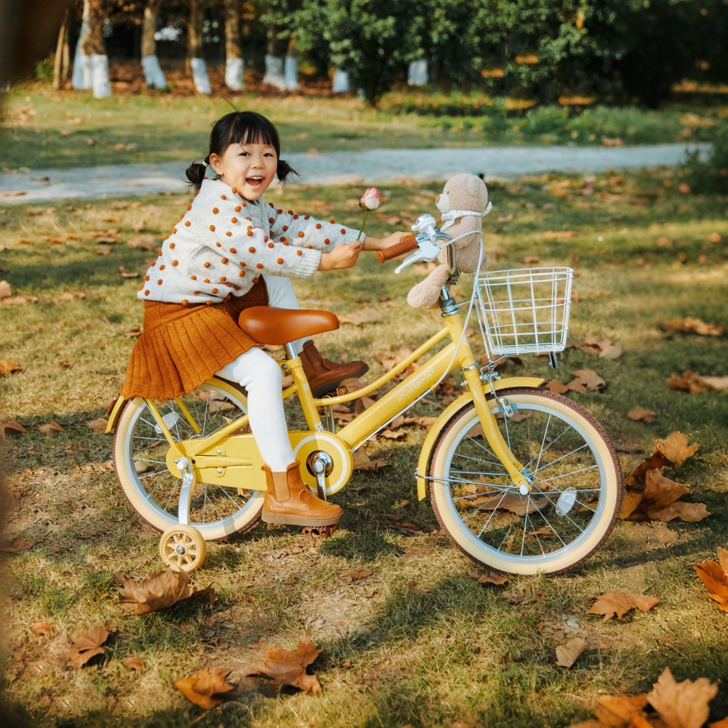 纽斯加自行车3到6岁女孩辅助轮小朋友小童小孩子公主款